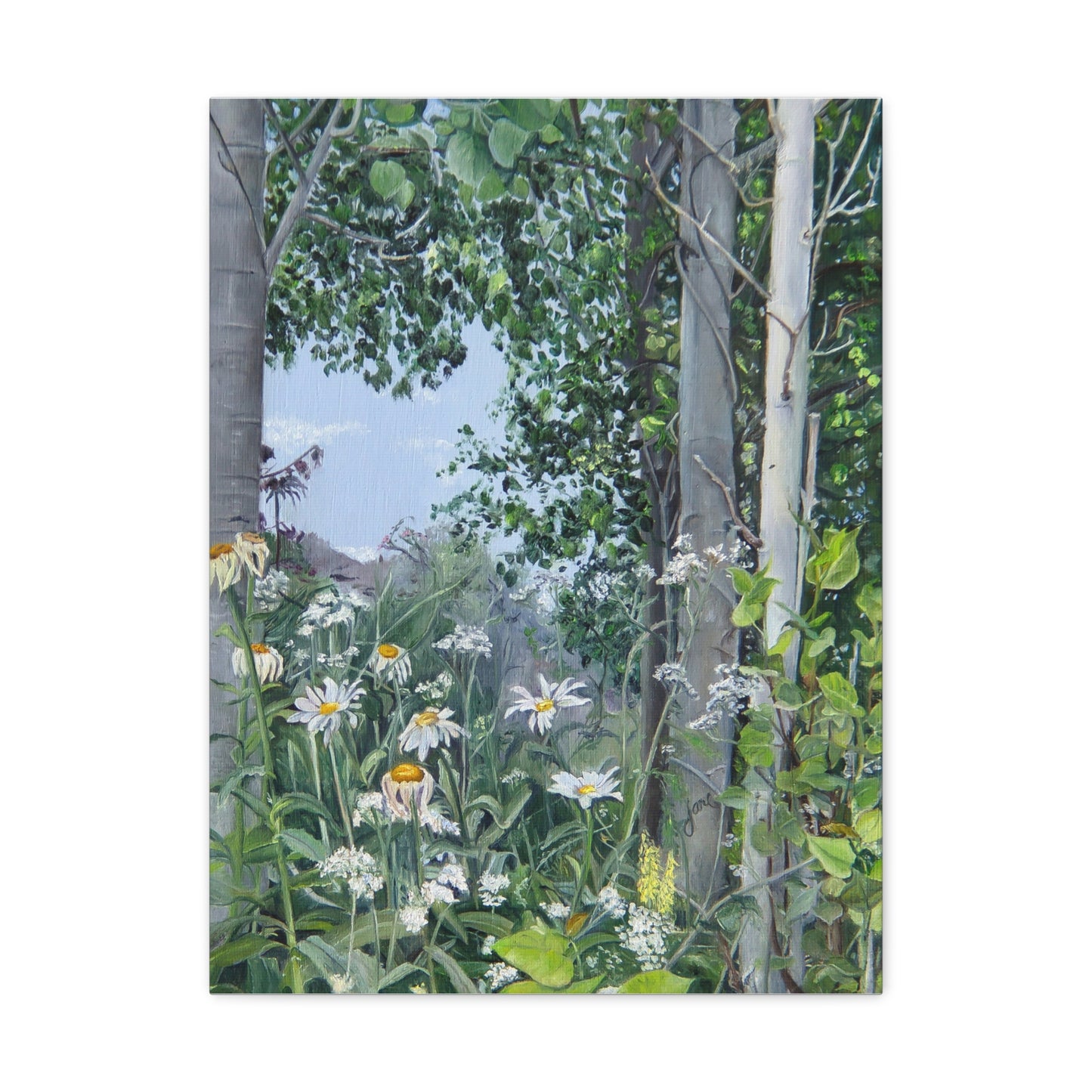 Quakies and Daisies by Jane Autry, Canvas Gallery Wrap