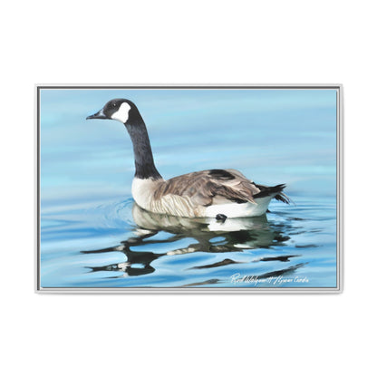 Canada Goose- Framed Matte Canvas Print