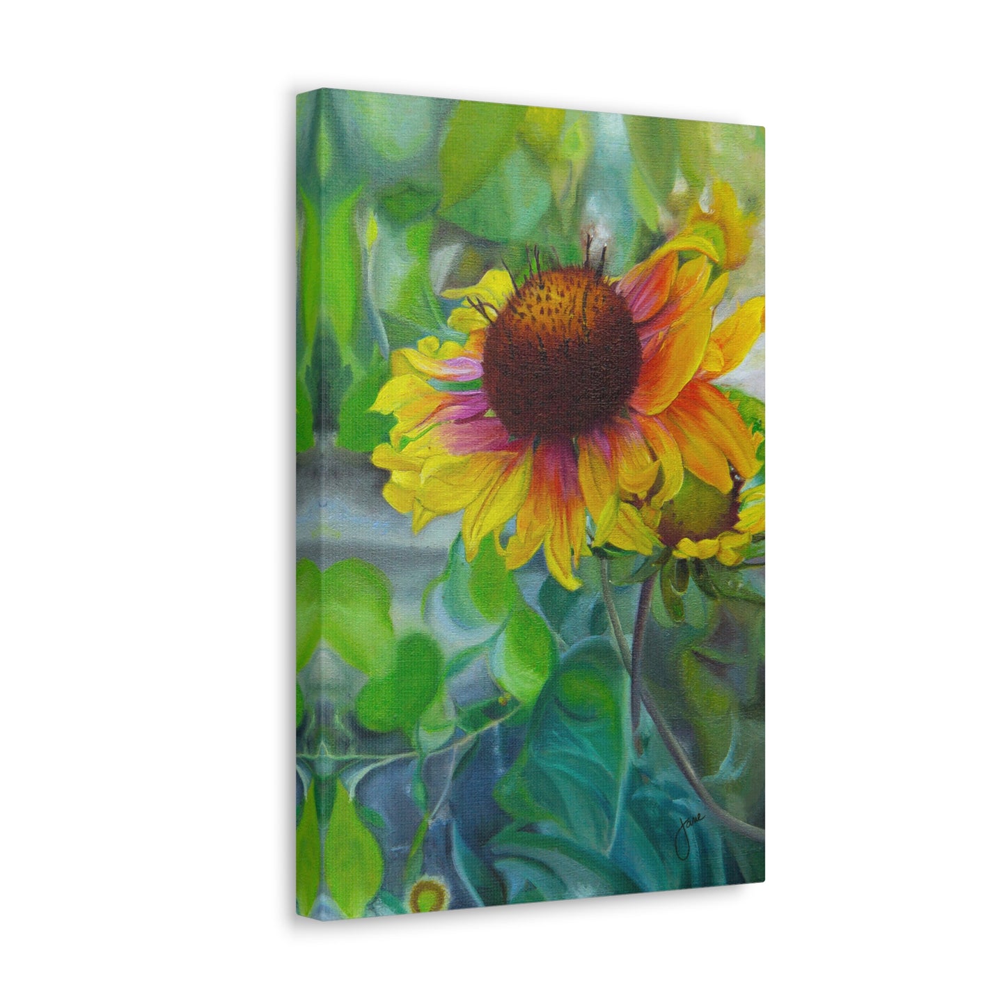 Indian Blanket Flower by Jane Autry, Canvas Gallery Wrap