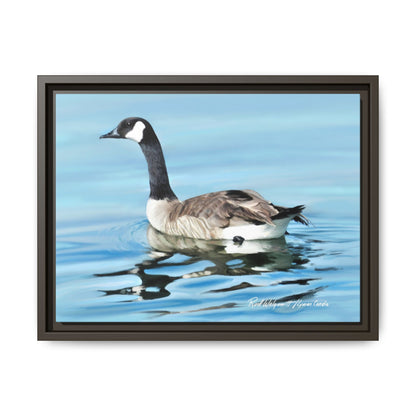 Canada Goose- Framed Matte Canvas Print