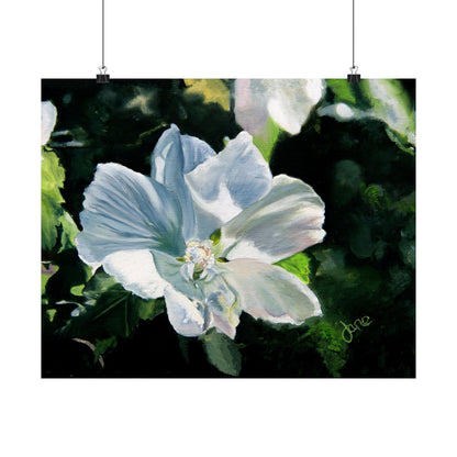 White Rose of Sharon, by Jane Autry--Premium Matte Print