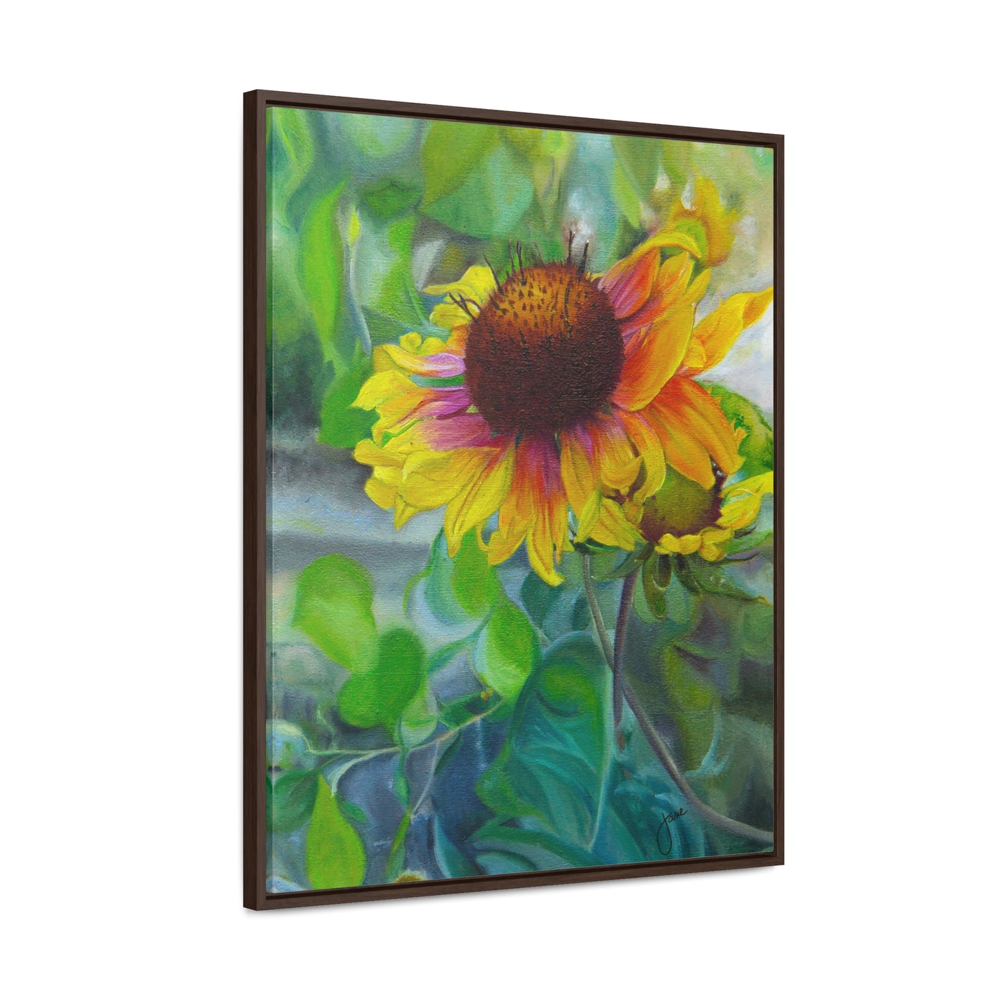Indian Blanket Flower by Jane Autry, Canvas Gallery Wrap