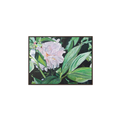 Stretched Canvas Wrap in Wood Frame, Shy Peone by Jane Autry