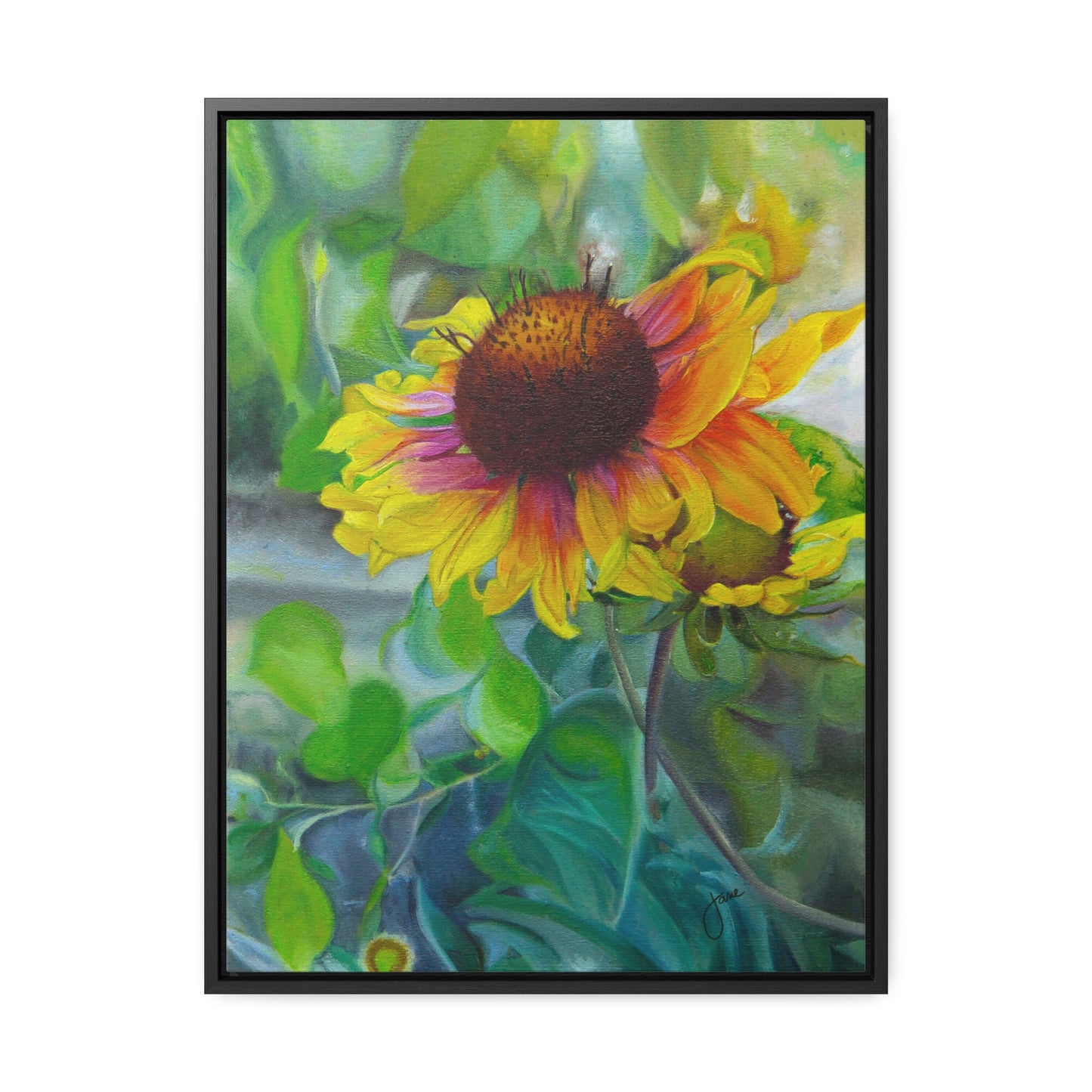 Indian Blanket Flower by Jane Autry, Canvas Gallery Wrap