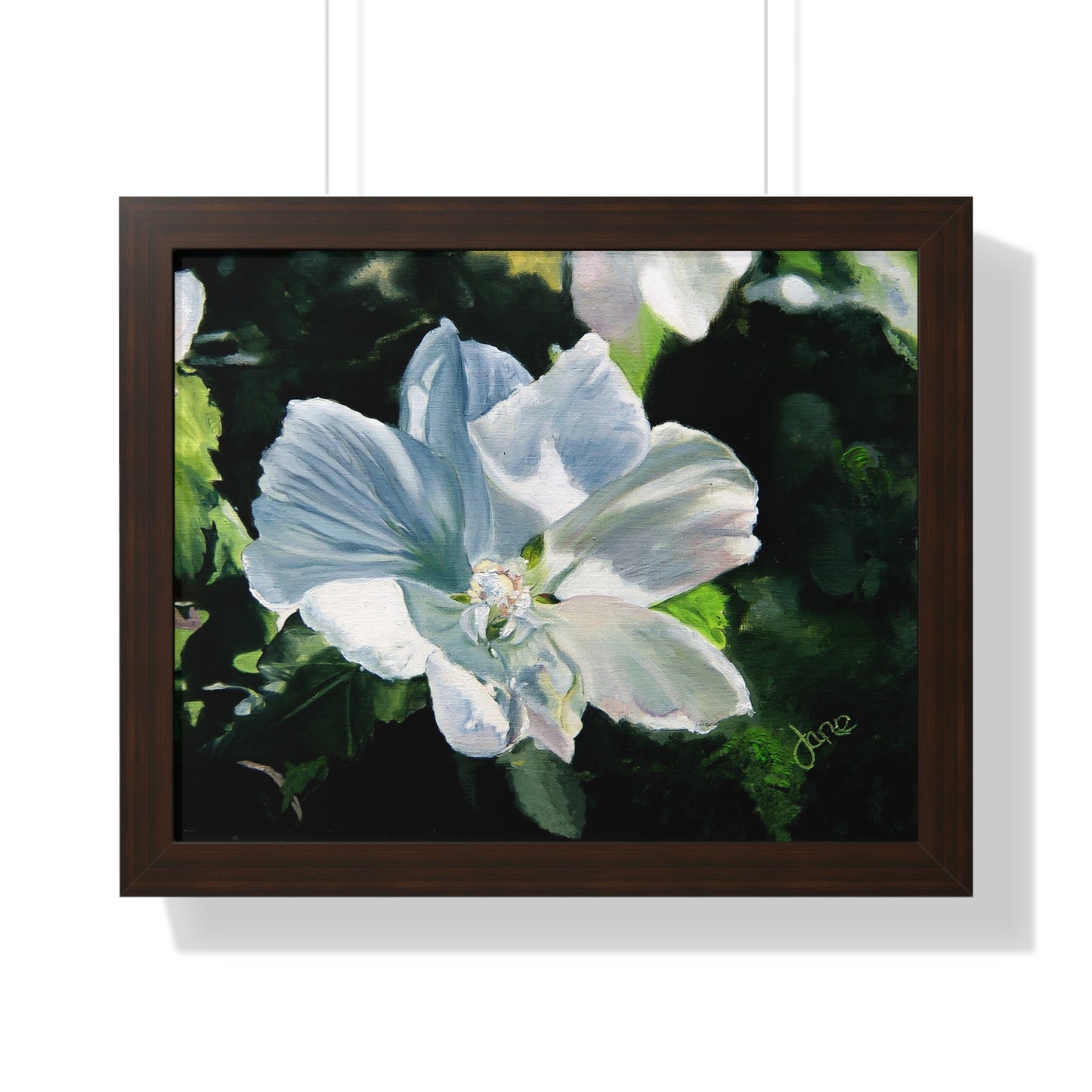 Premium Matte Print--Framed, White Rose of Sharon by Jane Autry