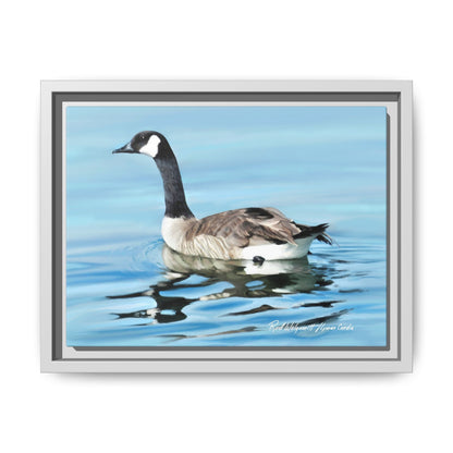 Canada Goose- Framed Matte Canvas Print