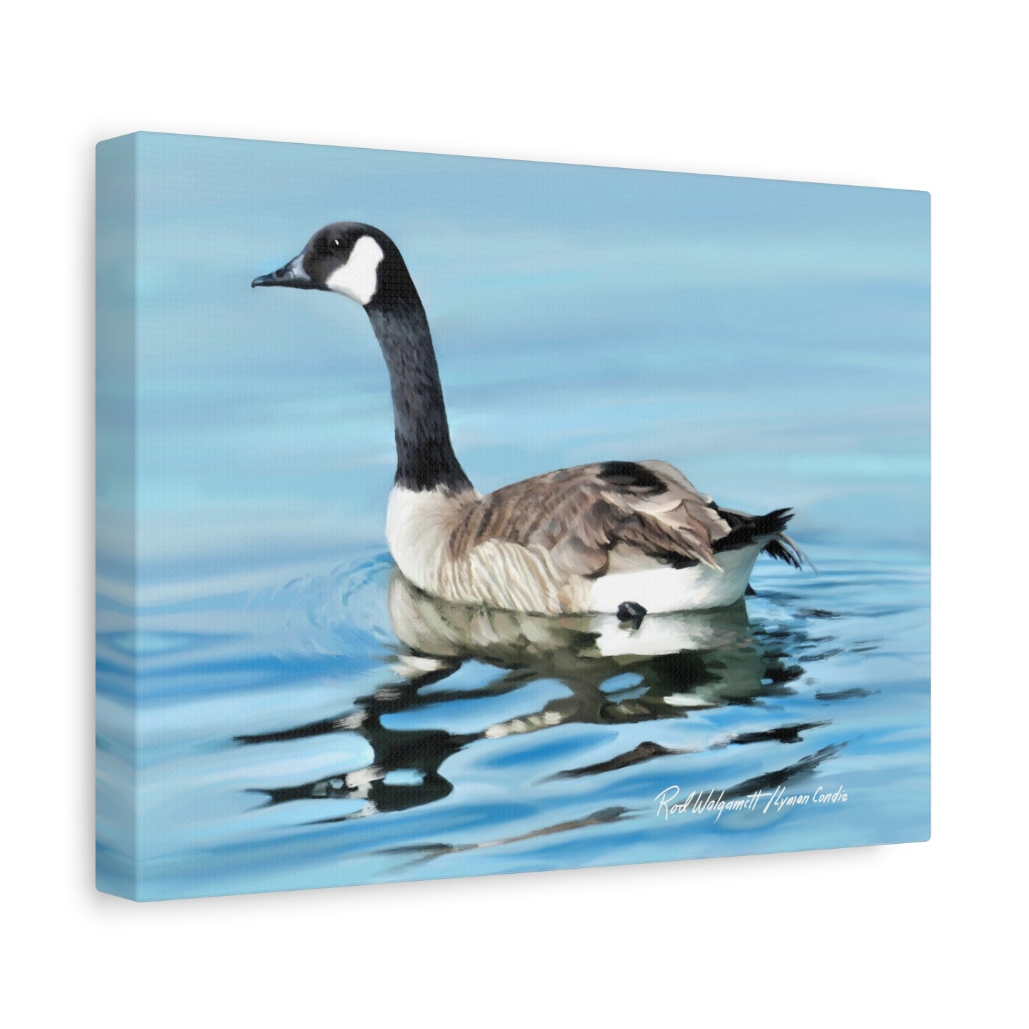 Canvas Gallery Wrap, Canada Goose on Stansbury Lake , by  Rod Walgamott