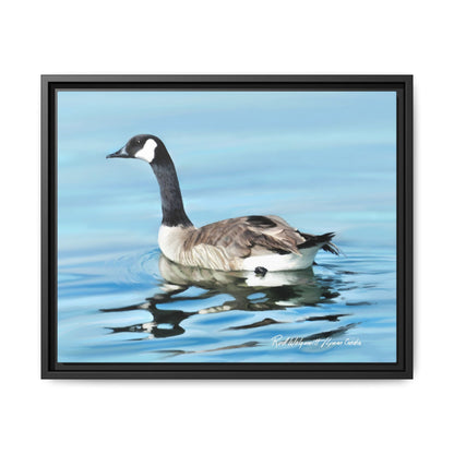 Canada Goose- Framed Matte Canvas Print