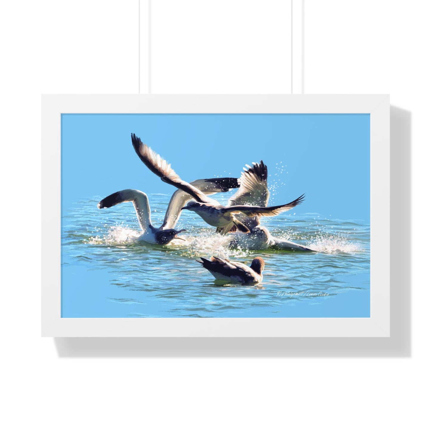 Framed Matte Print, Gull Fight on Stansbury Lake, by Rod Walgamott
