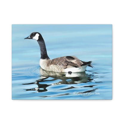 Canvas Gallery Wrap, Canada Goose on Stansbury Lake , by  Rod Walgamott