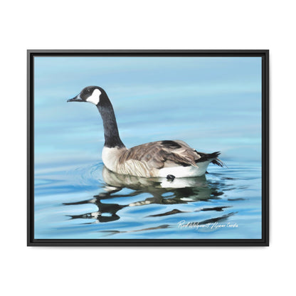 Canada Goose- Framed Matte Canvas Print