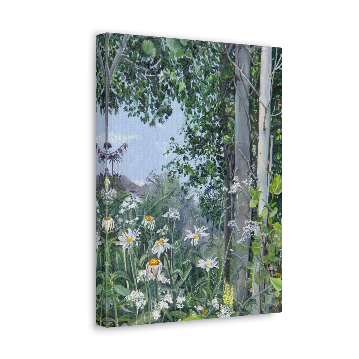Quakies and Daisies by Jane Autry, Canvas Gallery Wrap
