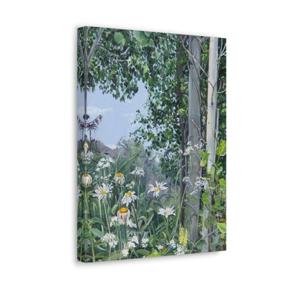 Quakies and Daisies by Jane Autry, Canvas Gallery Wrap