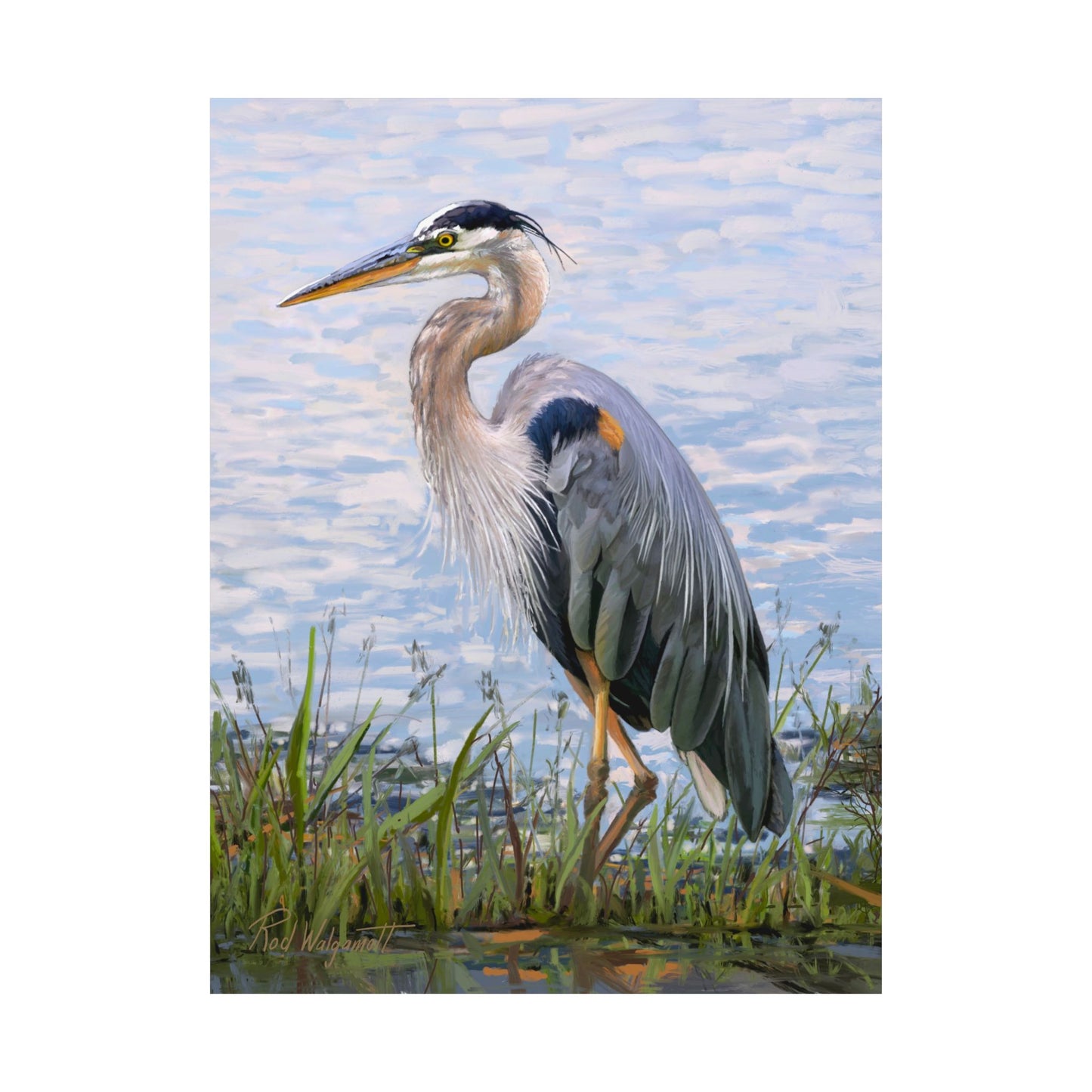 Premium Matte Print, Blue Heron at Stansbury Lake, by Rod Walgamott