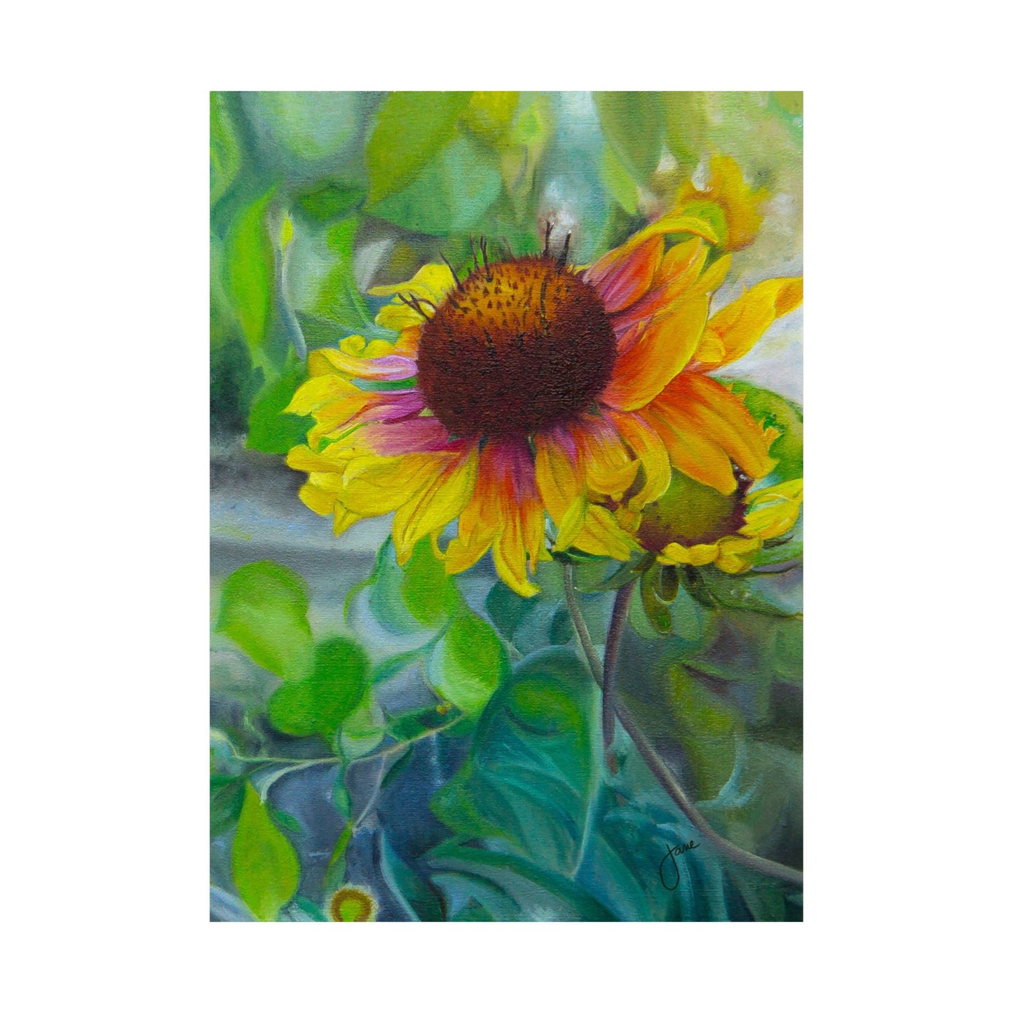 Indian Blanket Flower by Jane Autry, Premium Matte Paper Print