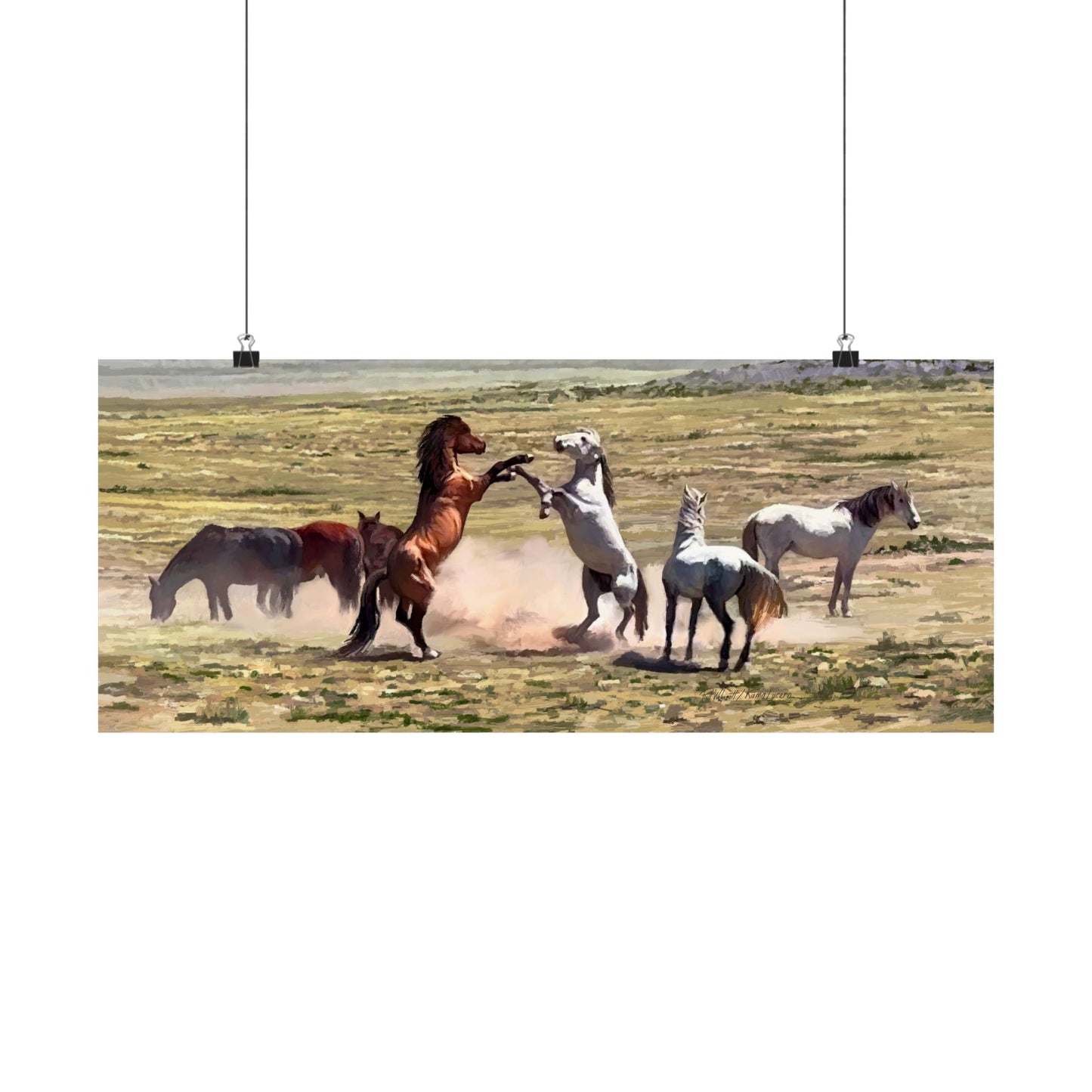 Poster - Wild Horses Fighting in Rush Valley, Utah