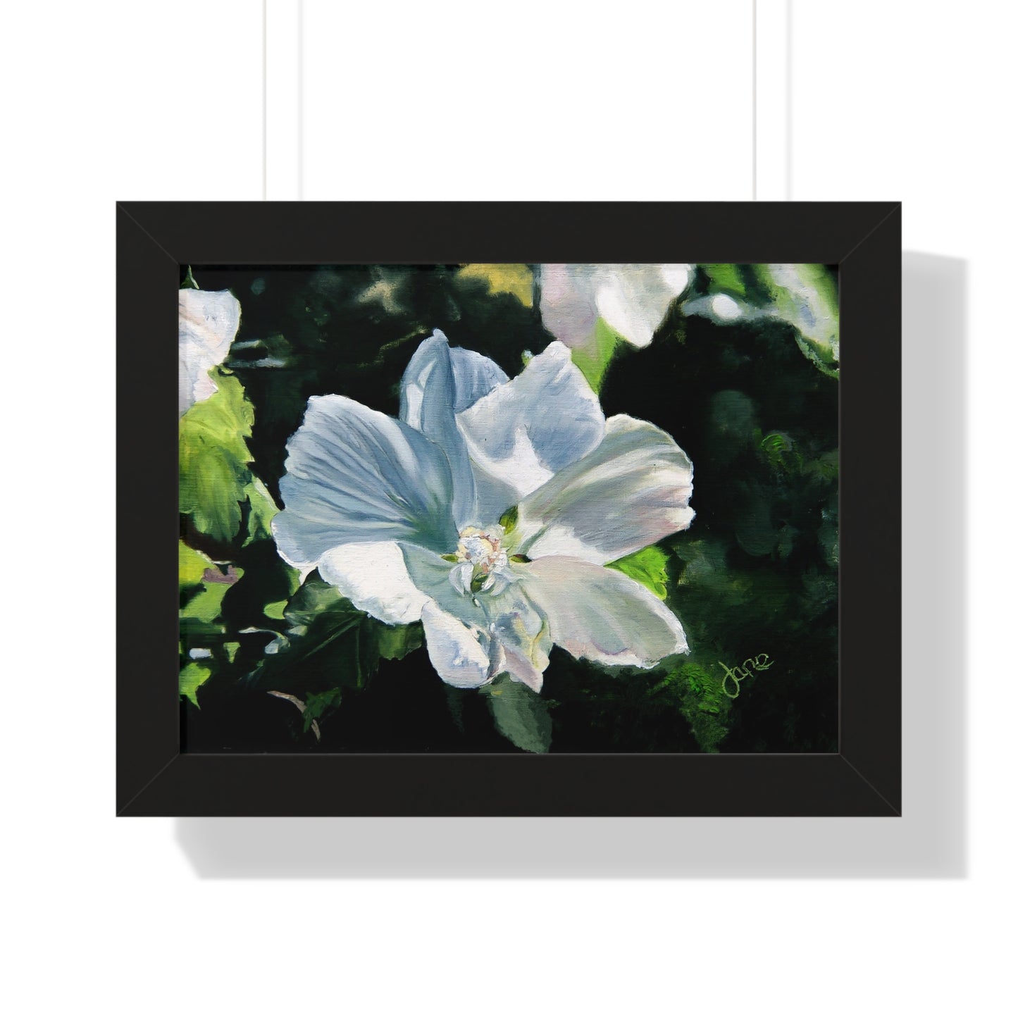 Premium Matte Print--Framed, White Rose of Sharon by Jane Autry