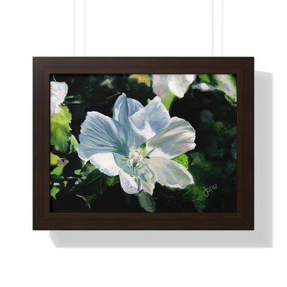 Premium Matte Print--Framed, White Rose of Sharon by Jane Autry