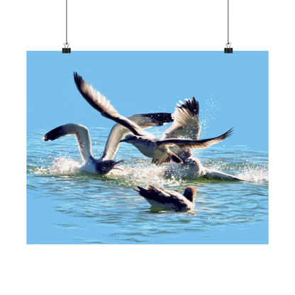 Premium Matte Print, Gull Fight on Stansbury Lake, by Rod Walgamott