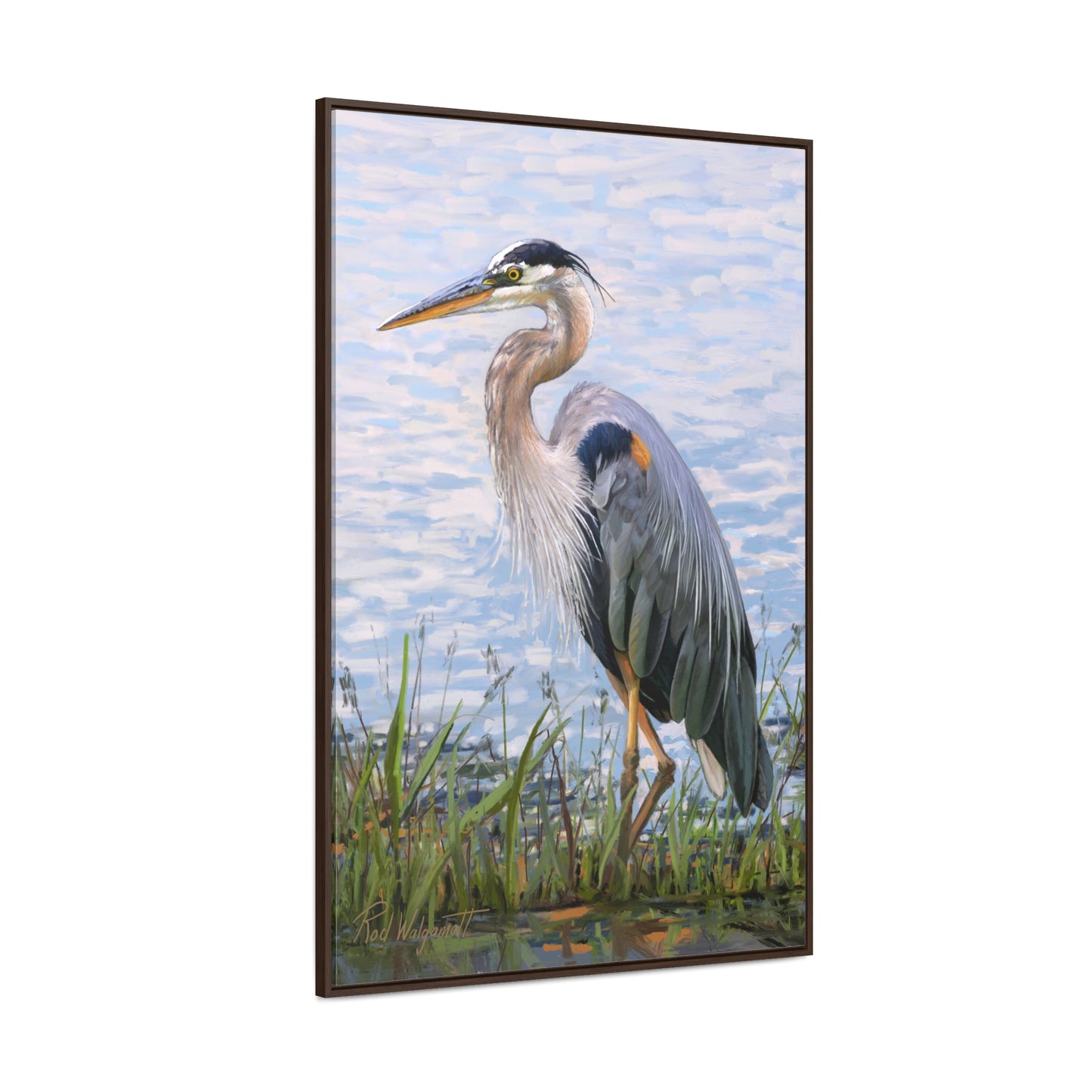 Framed canvas Wrap, Blue Heron at Stansbury Lake, by Rod Walgamott