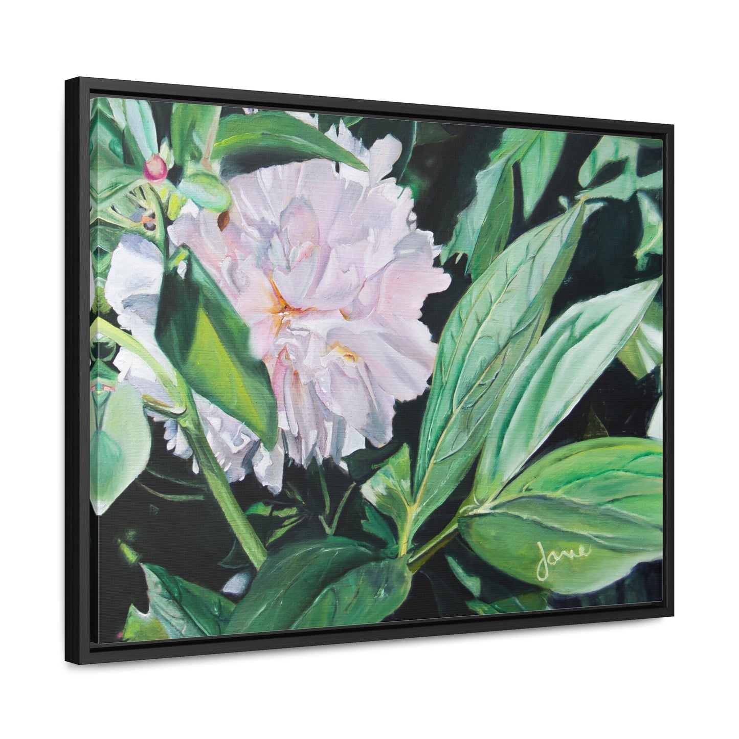 Stretched Canvas Wrap in Wood Frame, Shy Peone by Jane Autry