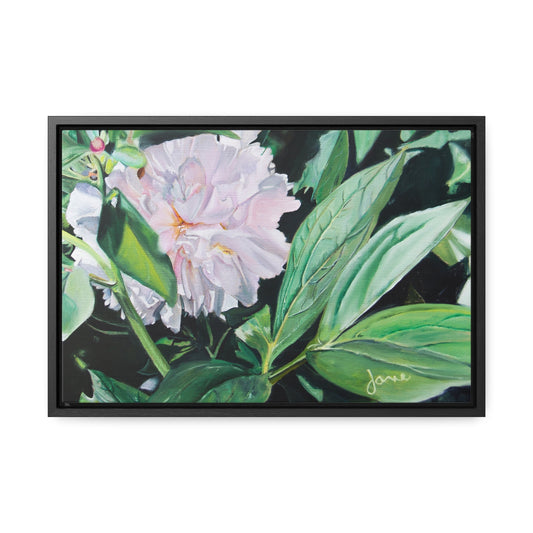 Stretched Canvas Wrap in Wood Frame, Shy Peone by Jane Autry