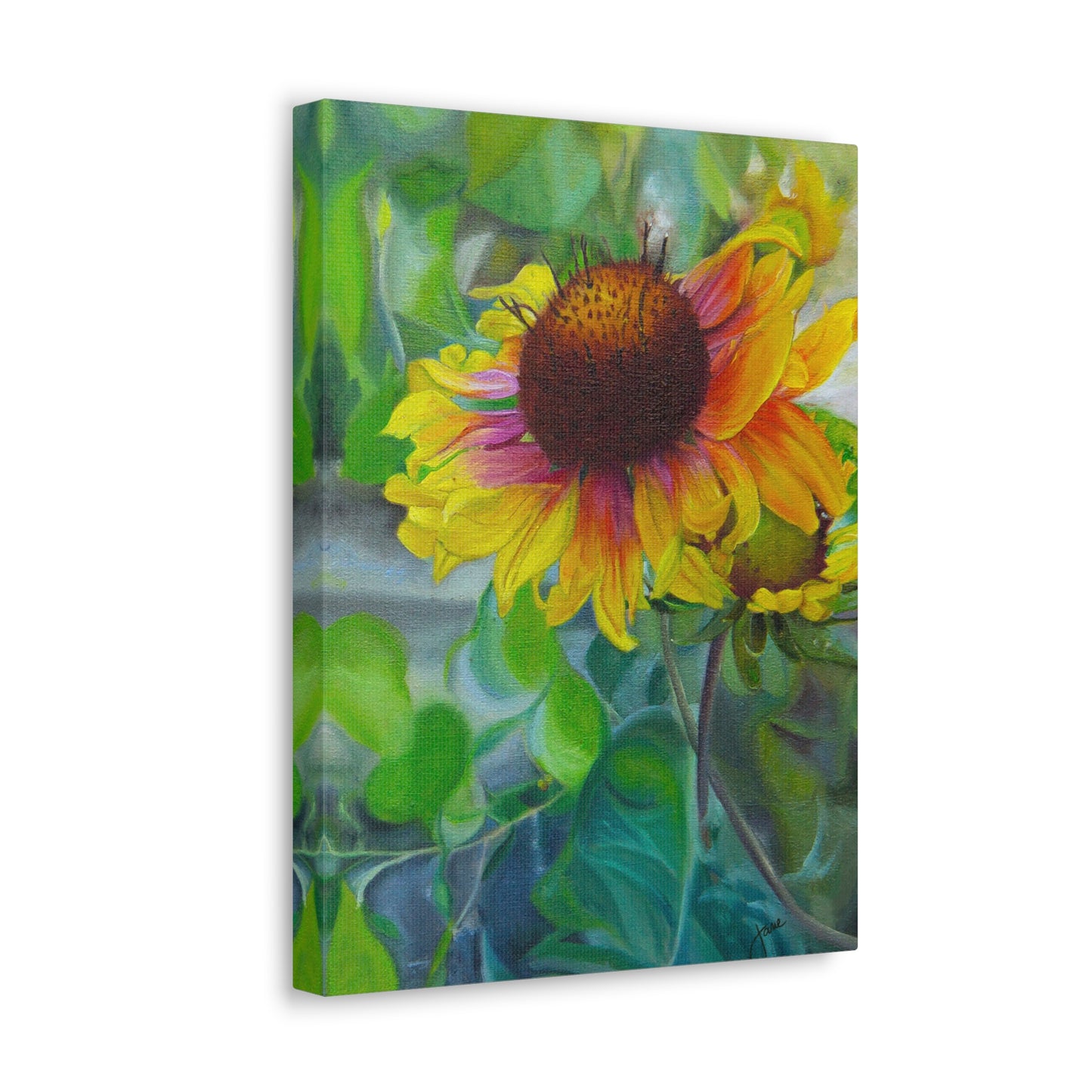 Indian Blanket Flower by Jane Autry, Canvas Gallery Wrap