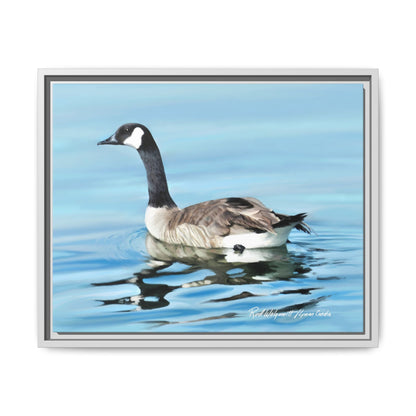 Canada Goose- Framed Matte Canvas Print
