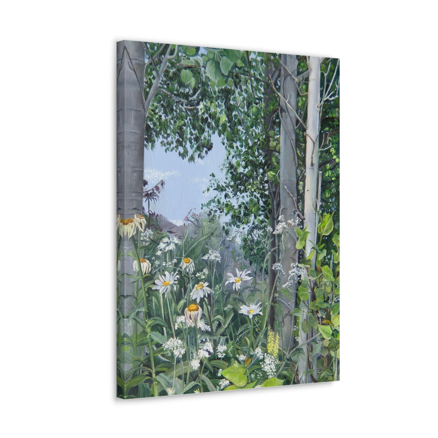 Quakies and Daisies by Jane Autry, Canvas Gallery Wrap