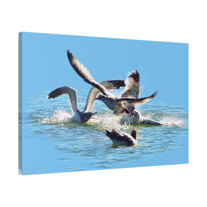 Classic Stretched Canvas, Gull Fight on Stansbury Lake, by Rod Walgamott