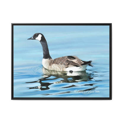 Canada Goose- Framed Matte Canvas Print