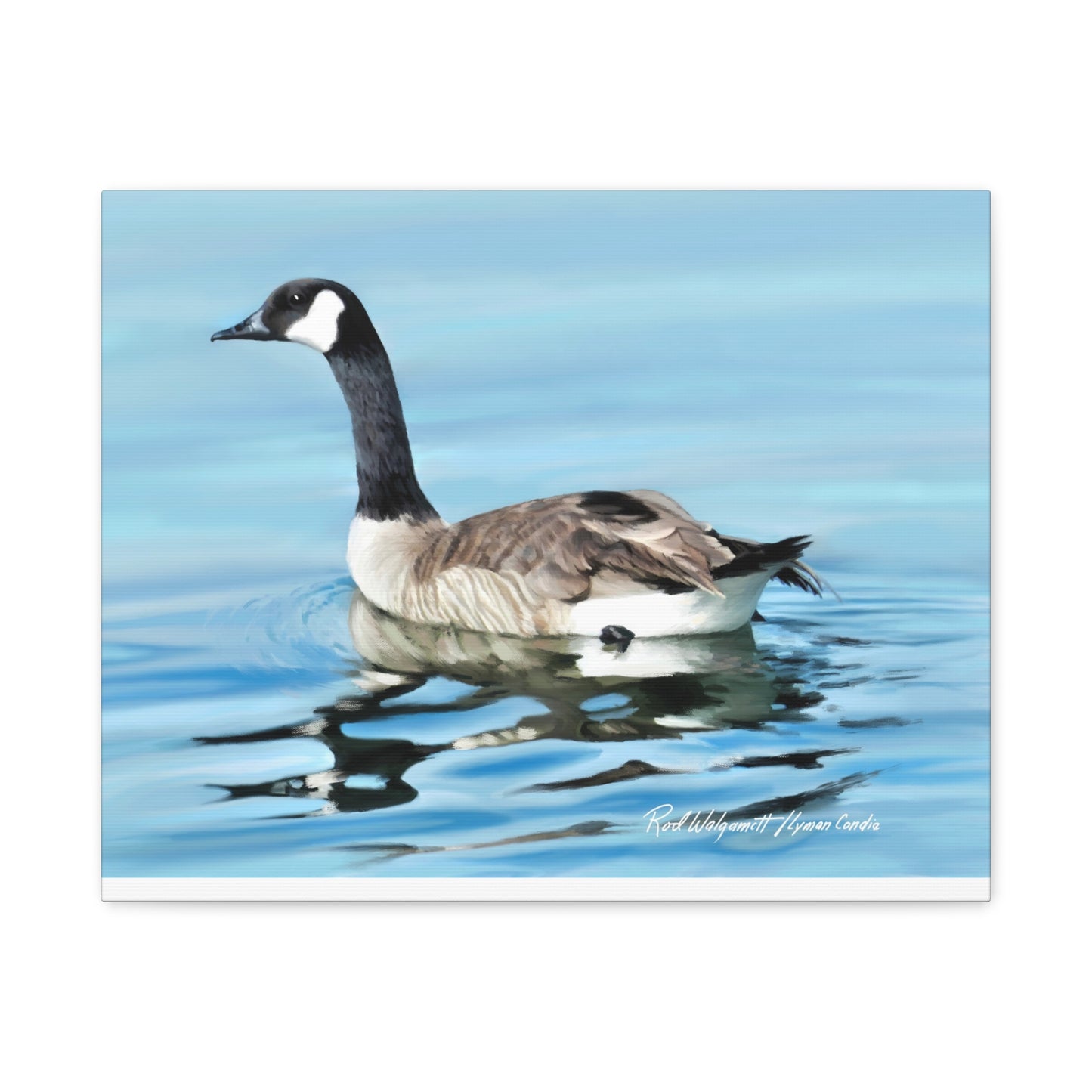 Canvas Gallery Wrap, Canada Goose on Stansbury Lake , by  Rod Walgamott