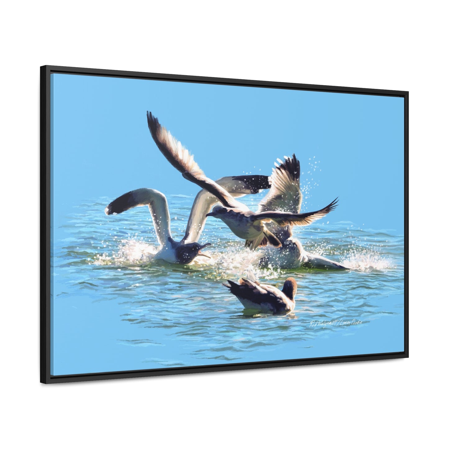 Stretched Canvas Print in Wood Frame, Gull Fight on Stansbury Lake, by Rod Walgamott
