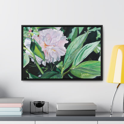 Stretched Canvas Wrap in Wood Frame, Shy Peone by Jane Autry