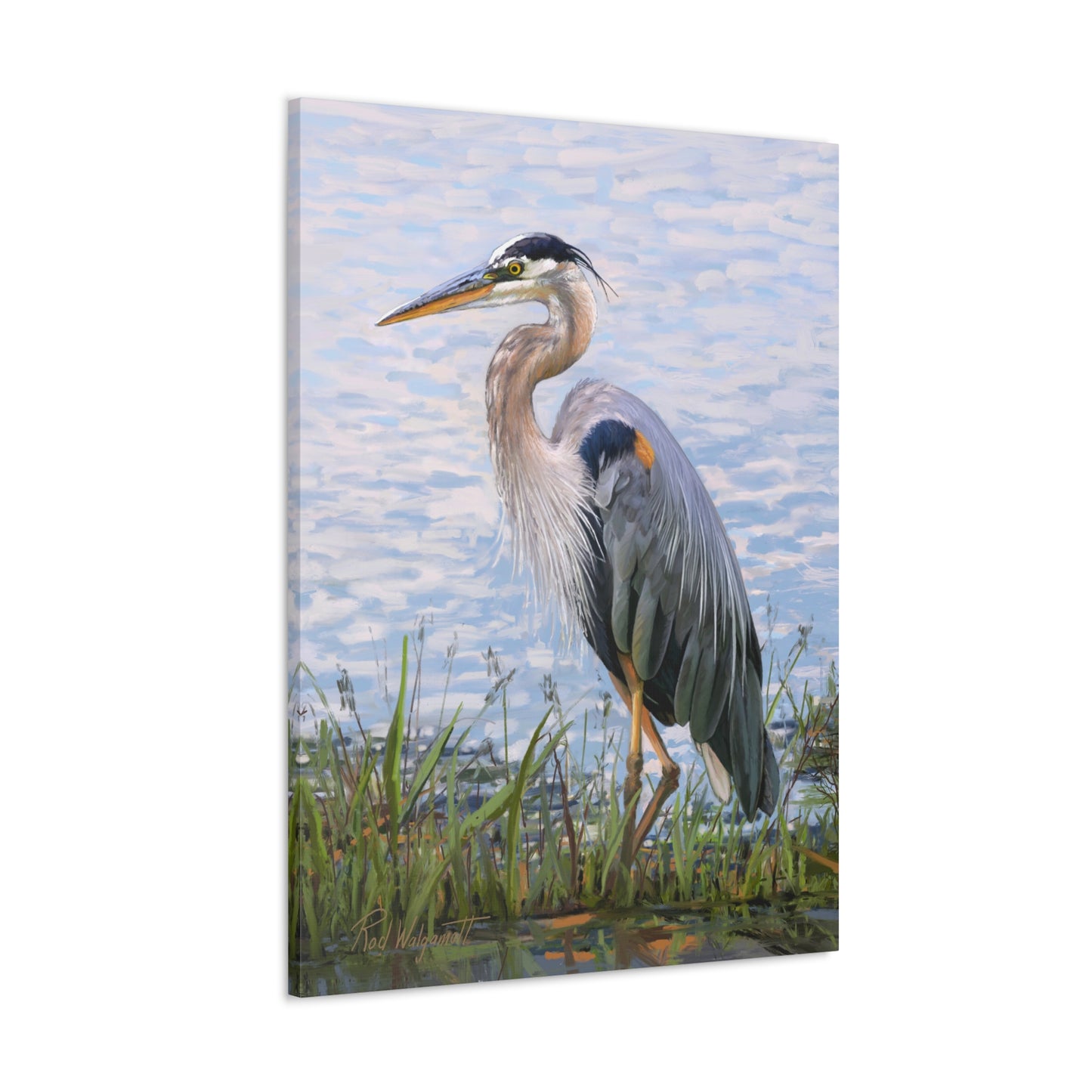 Gallery Wrap Canvas, Blue Heron at Stansbury Lake by Rod Walgamott