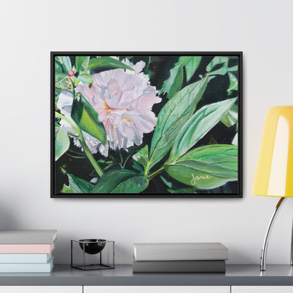 Stretched Canvas Wrap in Wood Frame, Shy Peone by Jane Autry