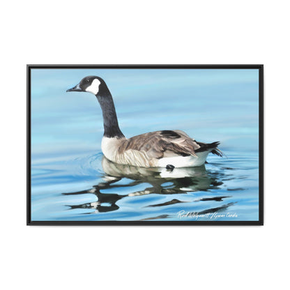 Canada Goose- Framed Matte Canvas Print