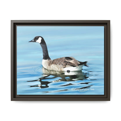 Canada Goose- Framed Matte Canvas Print