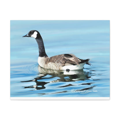 Canvas Gallery Wrap, Canada Goose on Stansbury Lake , by  Rod Walgamott