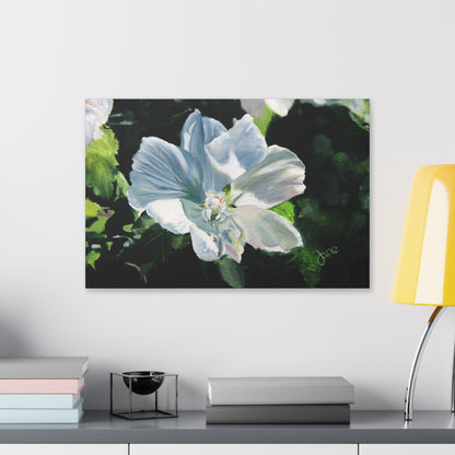 Classic Stretched Canvas, White Rose of Sharon by Jane Autry