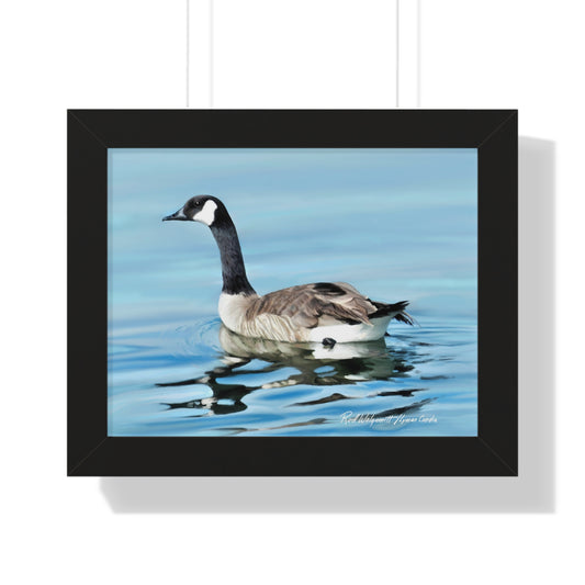 Framed Matte Print, Canada Goose on Stansbury Lake, by Rod  Walgamott
