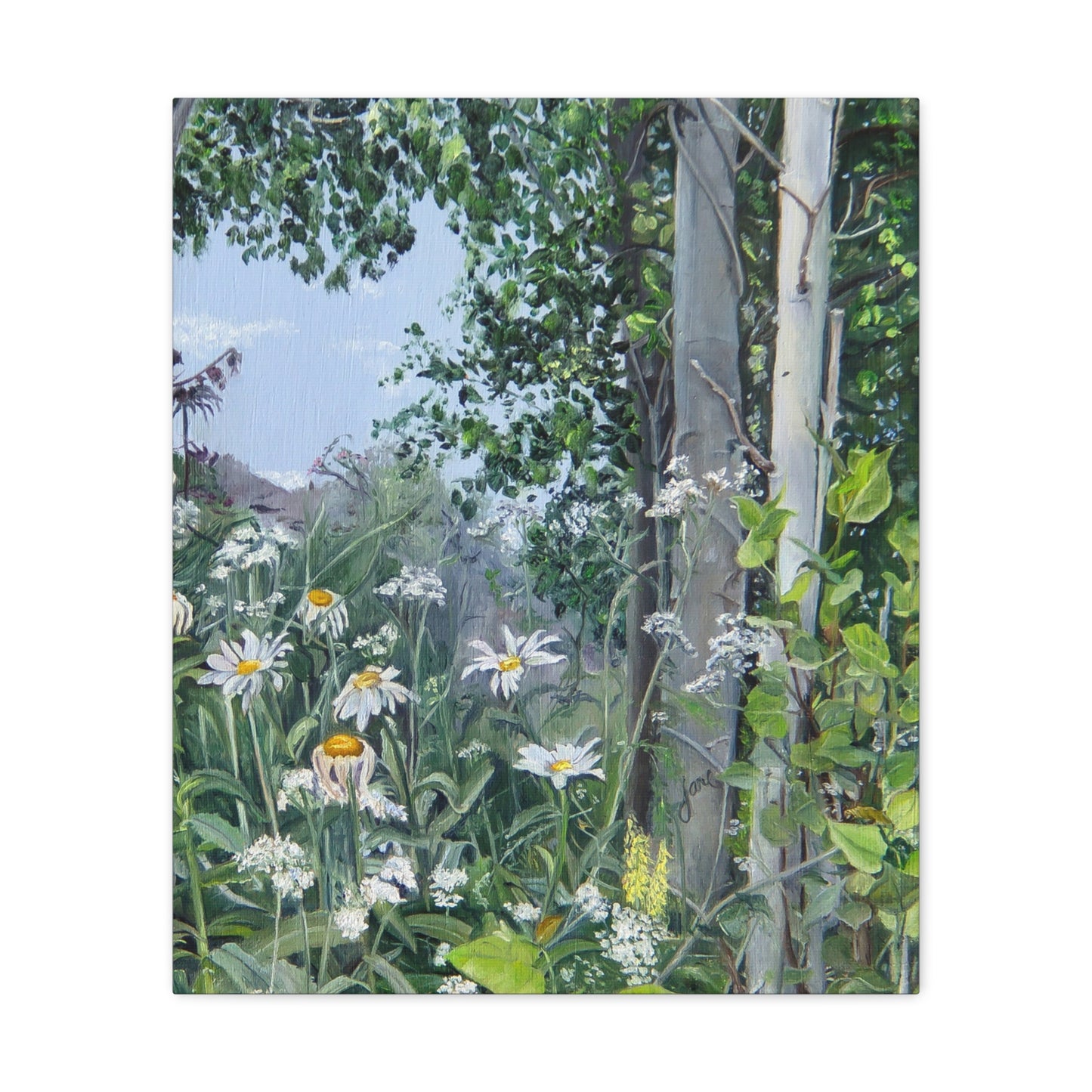 Quakies and Daisies by Jane Autry, Canvas Gallery Wrap