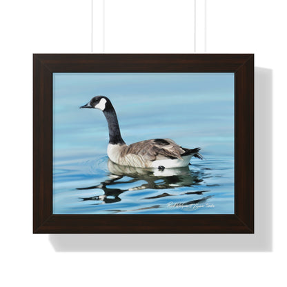 Framed Matte Print, Canada Goose on Stansbury Lake, by Rod  Walgamott