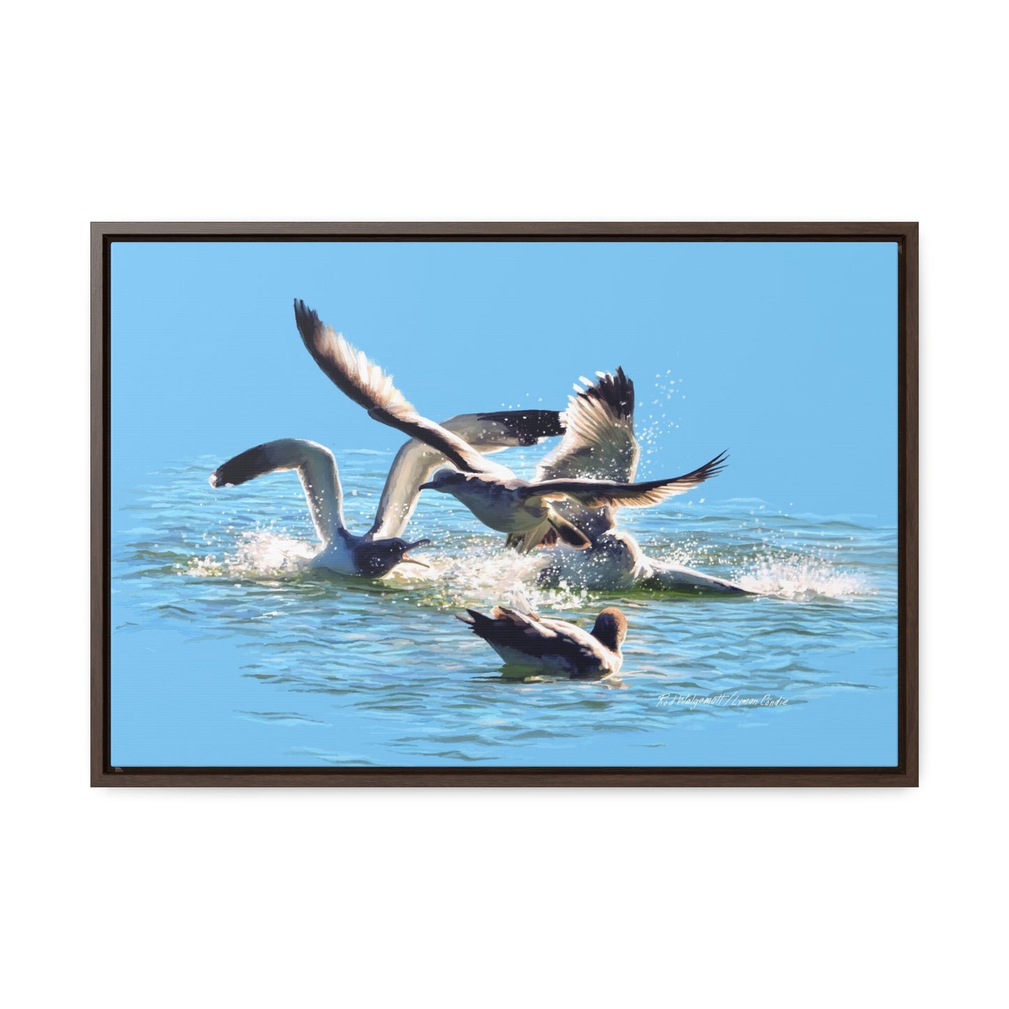 Stretched Canvas Print in Wood Frame, Gull Fight on Stansbury Lake, by Rod Walgamott