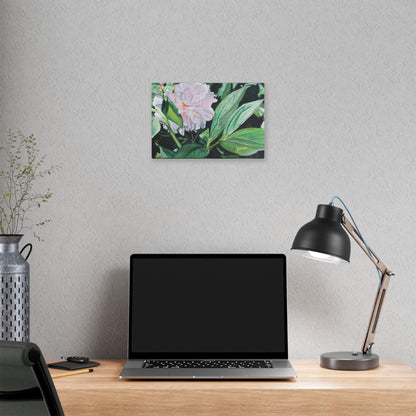 Classic Stretched Canvas, Shy Peone by Jane Autry