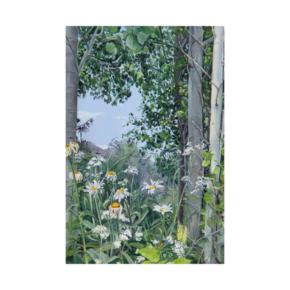 Quakies and Daisies by Jane Autry, Premium Matte Paper Print