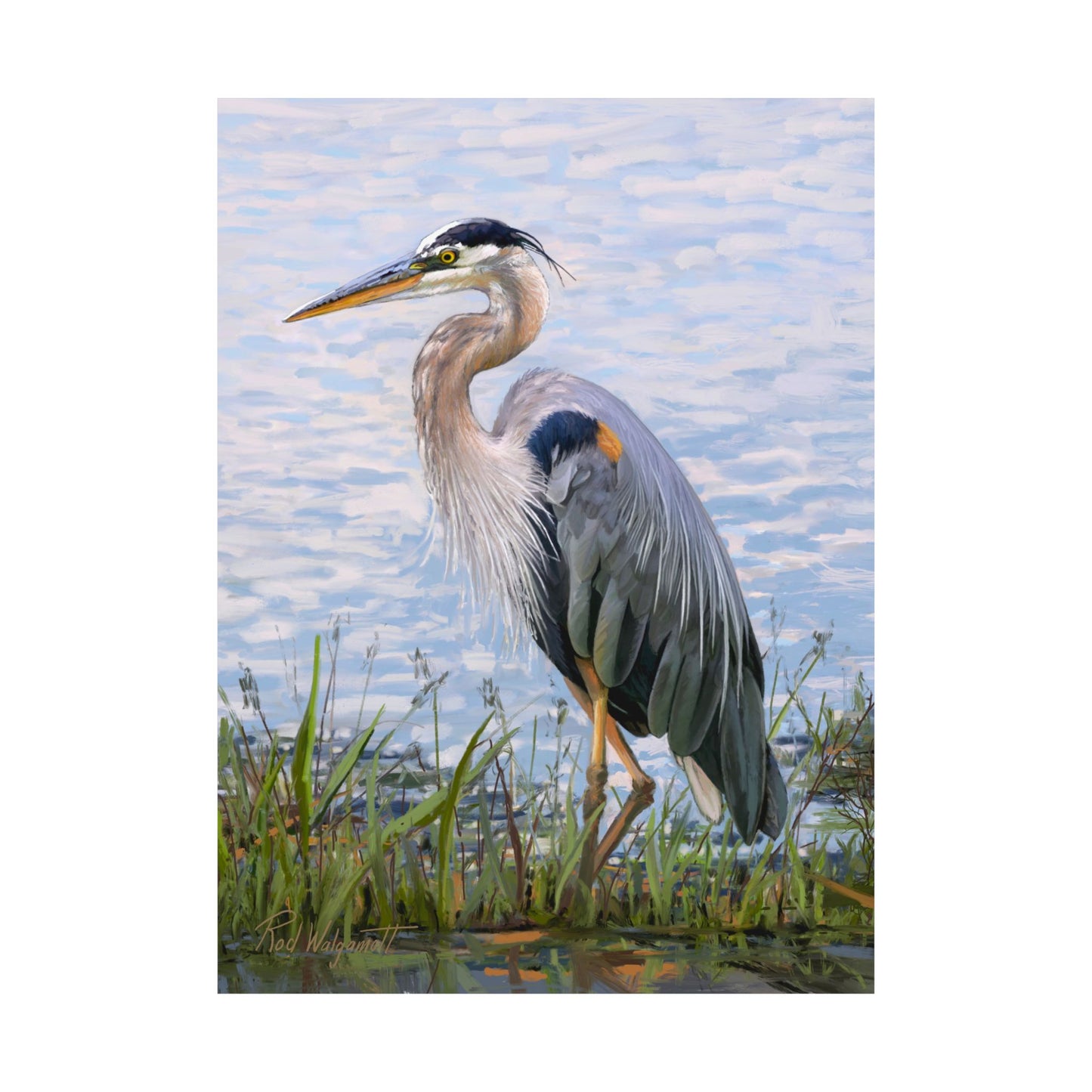 Premium Matte Print, Blue Heron at Stansbury Lake, by Rod Walgamott