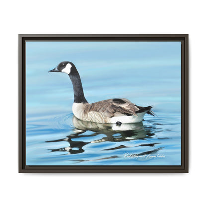 Canada Goose- Framed Matte Canvas Print