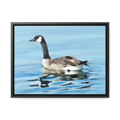 Stretched Canvas Print in Wood Frame, Canada Goose on Stansbury Lake , by  Rod Walgamott