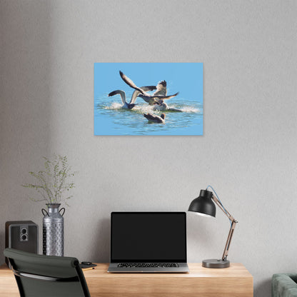 Classic Stretched Canvas, Gull Fight on Stansbury Lake, by Rod Walgamott
